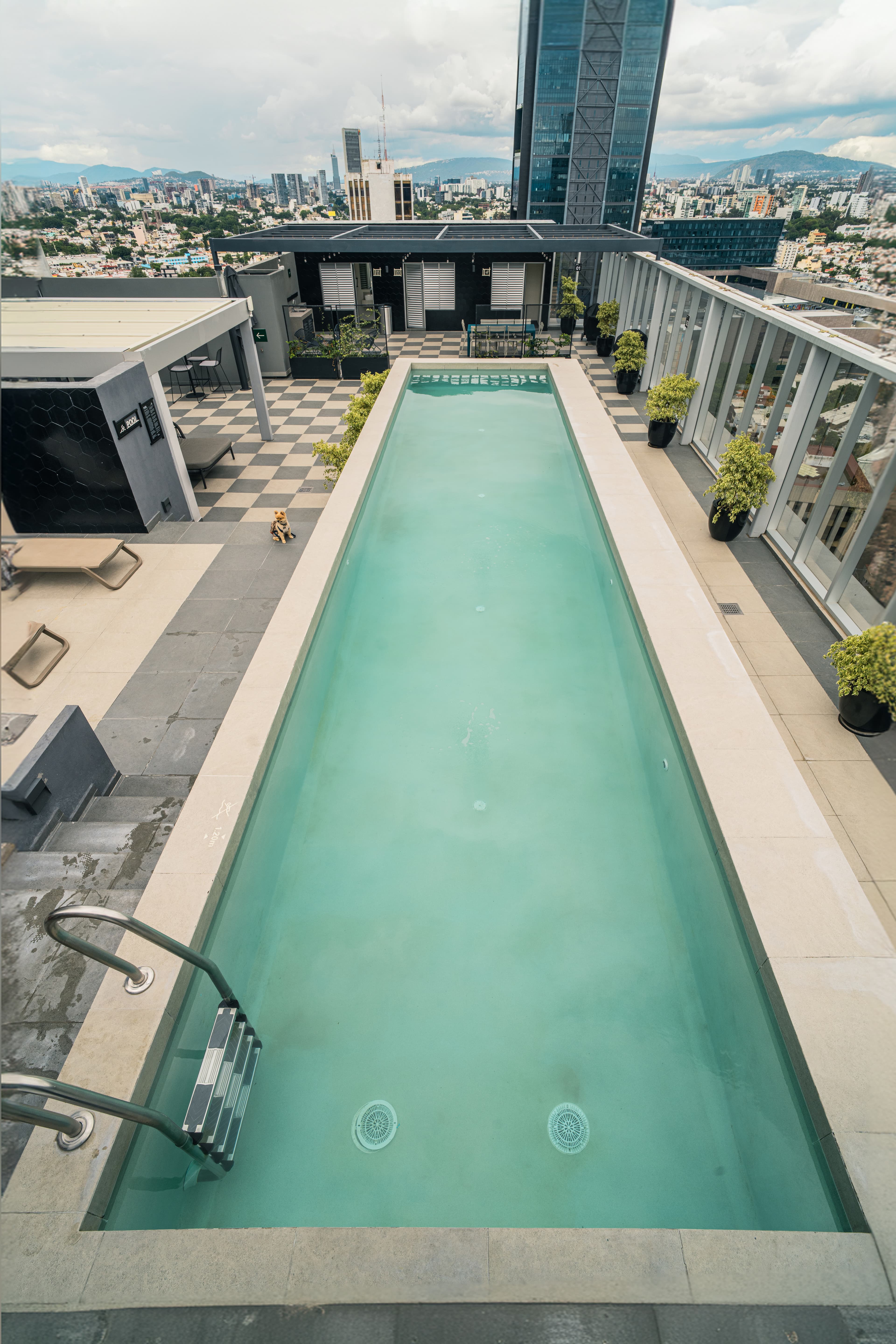 Piscina alargada en una azotea con vistas a la ciudad y rascacielos al fondo.